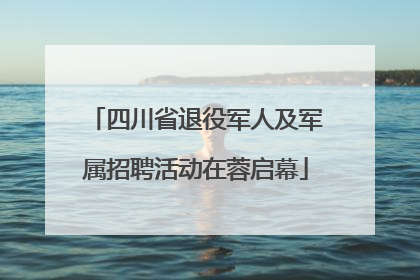 四川省退役军人及军属招聘活动在蓉启幕