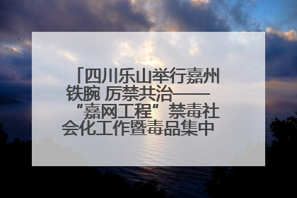 四川乐山举行嘉州铁腕 厉禁共治——“嘉网工程”禁毒社会化工作暨毒品集中销毁启动仪式