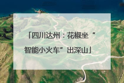 四川达州：花椒坐“智能小火车”出深山