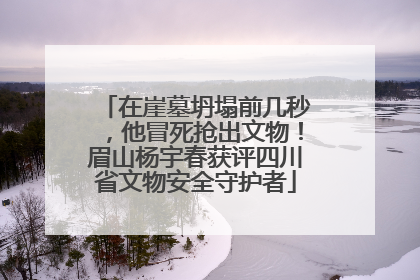 在崖墓坍塌前几秒，他冒死抢出文物！眉山杨宇春获评四川省文物安全守护者