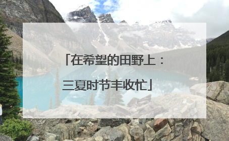 在希望的田野上：三夏时节丰收忙