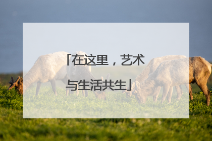 在这里，艺术与生活共生