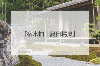 宿来拍丨夏日精灵