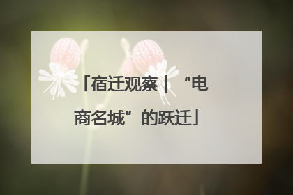 宿迁观察｜“电商名城”的跃迁