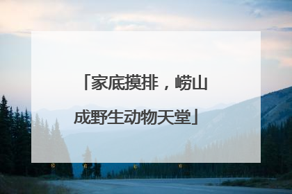 家底摸排，崂山成野生动物天堂