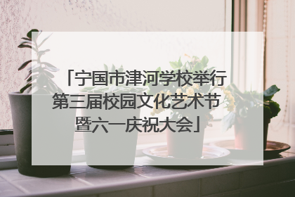 宁国市津河学校举行第三届校园文化艺术节暨六一庆祝大会