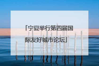 宁夏举行第四届国际友好城市论坛
