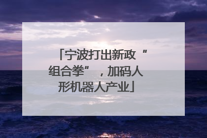 宁波打出新政“组合拳”，加码人形机器人产业