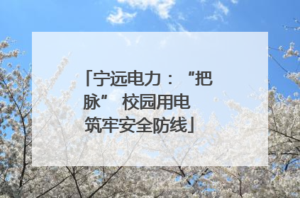 宁远电力：“把脉” 校园用电 筑牢安全防线