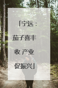 宁远：茄子喜丰收 产业促振兴