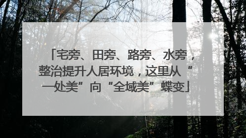 宅旁、田旁、路旁、水旁，整治提升人居环境，这里从“一处美”向“全域美”蝶变