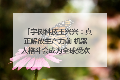 宇树科技王兴兴：真正解放生产力前 机器人格斗会成为全球受欢迎的赛事｜科技观察