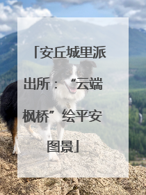 安丘城里派出所：“云端枫桥”绘平安图景