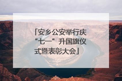 安乡公安举行庆“七一”升国旗仪式暨表彰大会