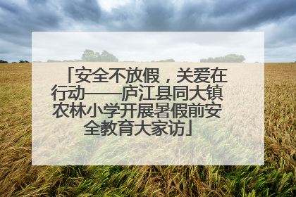 安全不放假，关爱在行动——庐江县同大镇农林小学开展暑假前安全教育大家访