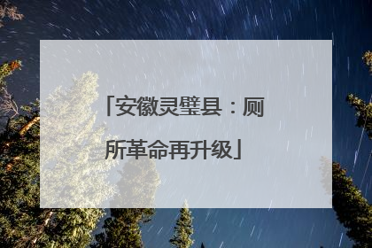 安徽灵璧县：厕所革命再升级