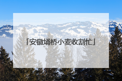 安徽埇桥小麦收割忙