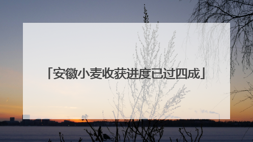 安徽小麦收获进度已过四成