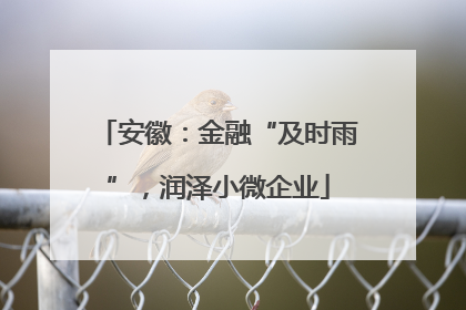 安徽：金融“及时雨”，润泽小微企业