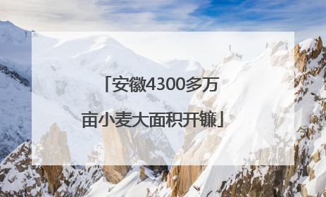 安徽4300多万亩小麦大面积开镰