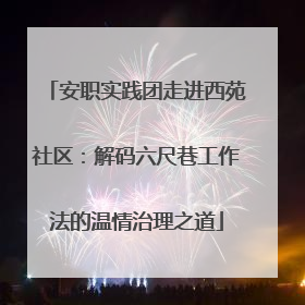 安职实践团走进西苑社区：解码六尺巷工作法的温情治理之道