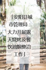 安阳县城市管理局：大力开展露天烧烤及餐饮油烟整治工作