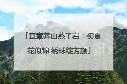 宜章莽山燕子岩：初夏花似锦 绣球绽芳颜