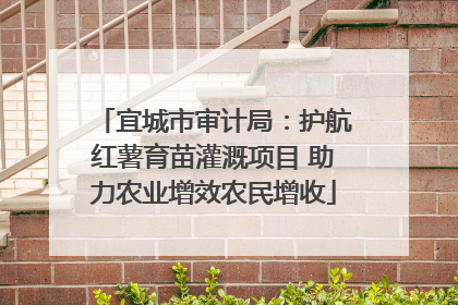 宜城市审计局：护航红薯育苗灌溉项目 助力农业增效农民增收