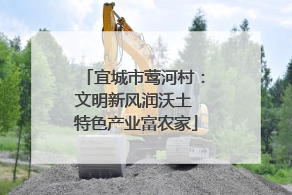 宜城市莺河村：文明新风润沃土 特色产业富农家