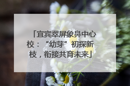 宜宾翠屏象鼻中心校：“幼芽”初探新枝，衔接共育未来