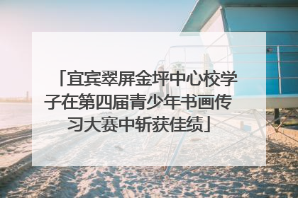 宜宾翠屏金坪中心校学子在第四届青少年书画传习大赛中斩获佳绩