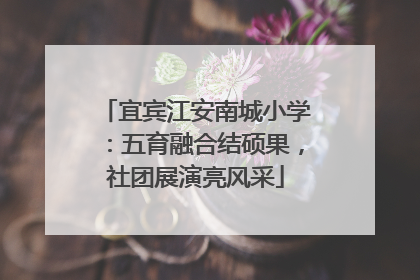宜宾江安南城小学：五育融合结硕果，社团展演亮风采