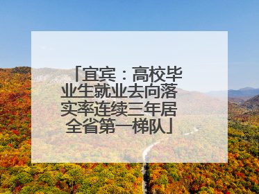 宜宾：高校毕业生就业去向落实率连续三年居全省第一梯队