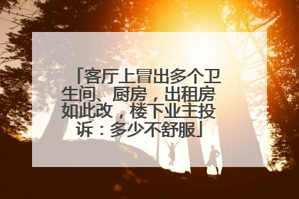 客厅上冒出多个卫生间、厨房，出租房如此改，楼下业主投诉：多少不舒服