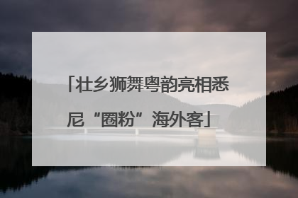壮乡狮舞粤韵亮相悉尼“圈粉”海外客