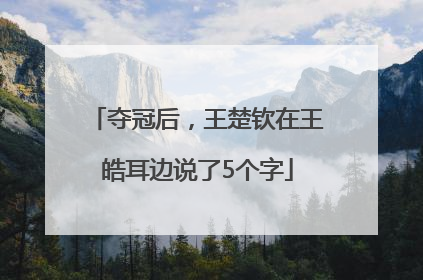 夺冠后，王楚钦在王皓耳边说了5个字