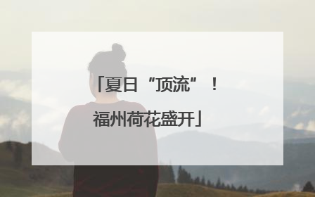 夏日“顶流”！福州荷花盛开