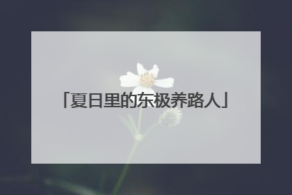 夏日里的东极养路人