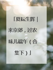 夏耘生辉｜来京郊，过农味儿端午（合集下）