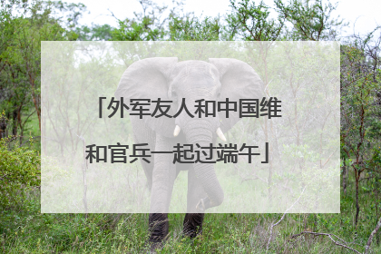 外军友人和中国维和官兵一起过端午