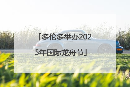 多伦多举办2025年国际龙舟节