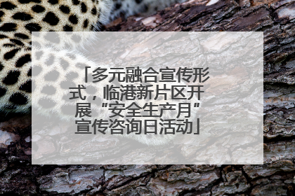 多元融合宣传形式，临港新片区开展“安全生产月”宣传咨询日活动
