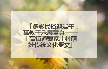 多彩民俗迎端午，寓教于乐展童真——上高街道魏家庄村萌娃传统文化盛宴