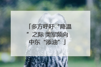 多方呼吁“降温”之际 美军频向中东“添油”