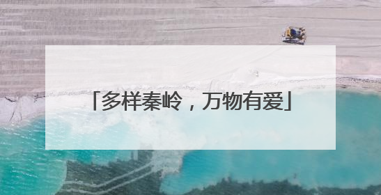 多样秦岭，万物有爱