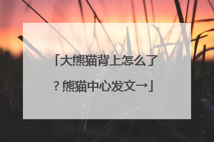 大熊猫背上怎么了？熊猫中心发文→