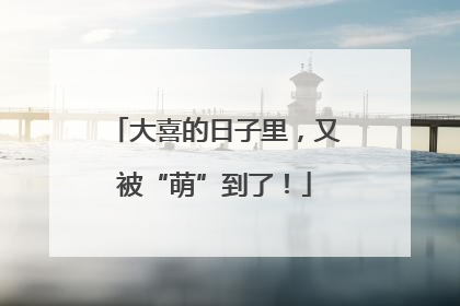 大喜的日子里，又被“萌”到了！