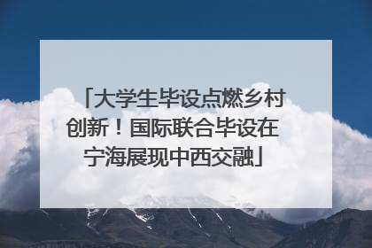 大学生毕设点燃乡村创新！国际联合毕设在宁海展现中西交融