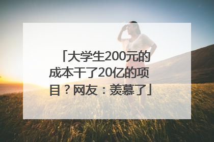 大学生200元的成本干了20亿的项目？网友：羡慕了