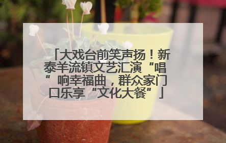 大戏台前笑声扬！新泰羊流镇文艺汇演“唱”响幸福曲，群众家门口乐享“文化大餐”